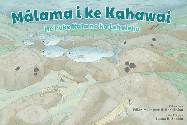 Mālama i ke Kahawai: He Puke Kala no ka Lehulehu / Take Care of the Stream: A Coloring Book for All Ages (bilingual)